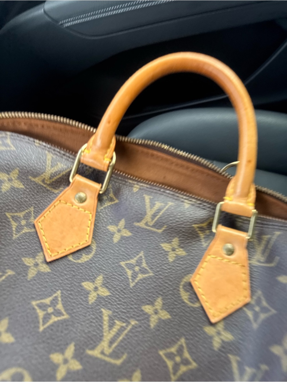 Louis Vuitton Monogram Canvas Alama Medium Bag in Brown and Tan